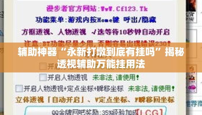 辅助神器“永新打墩到底有挂吗”揭秘透视辅助万能挂用法