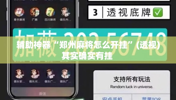 辅助神器“郑州麻将怎么开挂”(透视)其实确实有挂 