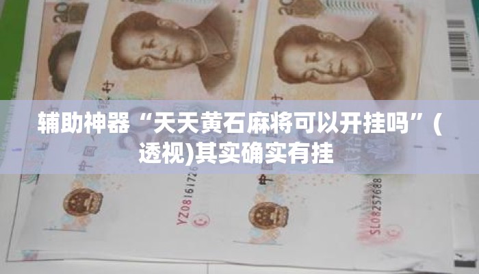 辅助神器“天天黄石麻将可以开挂吗”(透视)其实确实有挂 