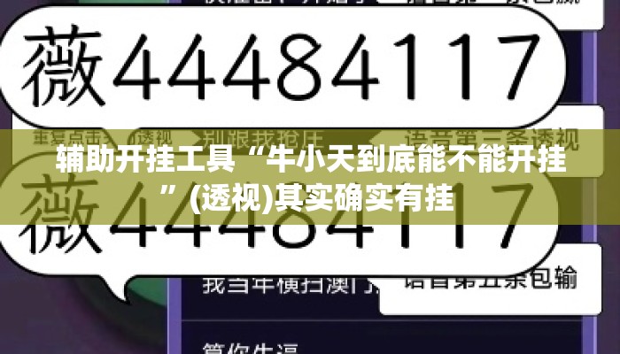 辅助开挂工具“牛小天到底能不能开挂”(透视)其实确实有挂 