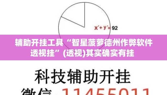 辅助开挂工具“智星菠萝德州作弊软件透视挂”(透视)其实确实有挂 