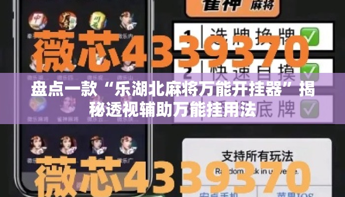 盘点一款“乐湖北麻将万能开挂器	”揭秘透视辅助万能挂用法