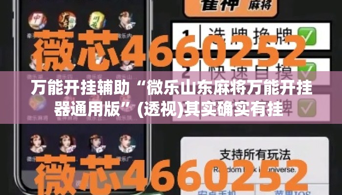 万能开挂辅助“微乐山东麻将万能开挂器通用版”(透视)其实确实有挂 
