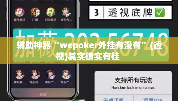 盘点一款“微乐河北麻将助赢神器购买”(透视)其实确实有挂 