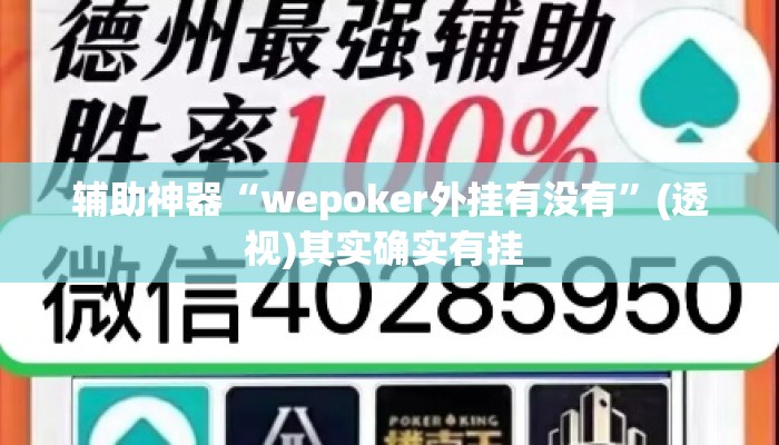 辅助神器“wepoker外挂有没有”(透视)其实确实有挂 