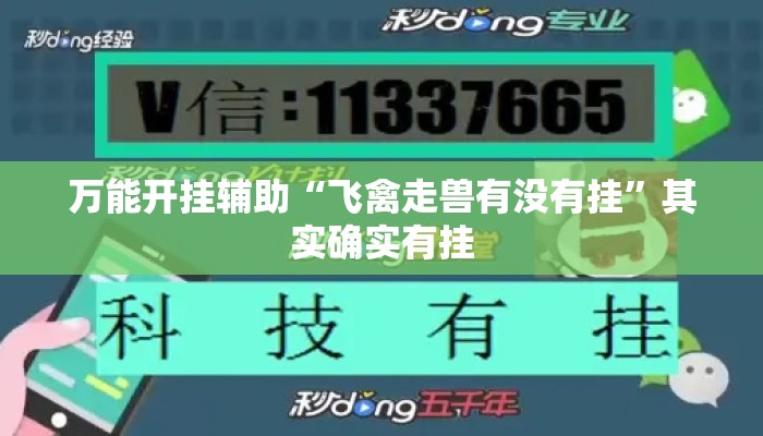 万能开挂辅助“飞禽走兽有没有挂”其实确实有挂