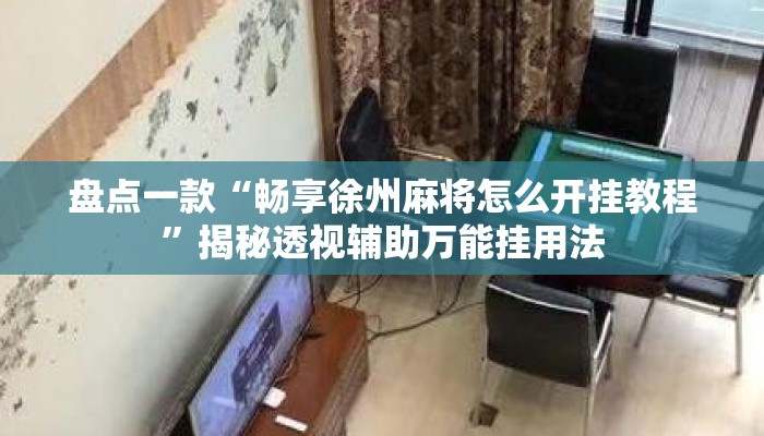 盘点一款“畅享徐州麻将怎么开挂教程”揭秘透视辅助万能挂用法