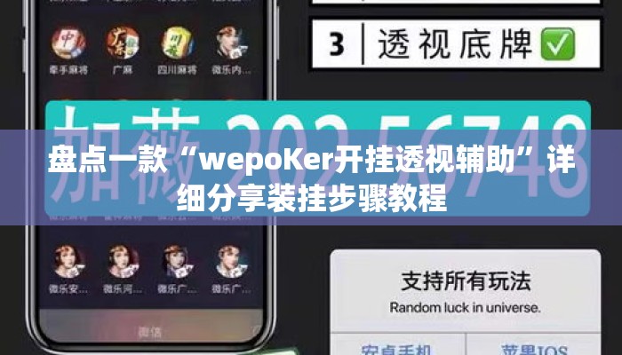盘点一款“wepoKer开挂透视辅助”详细分享装挂步骤教程