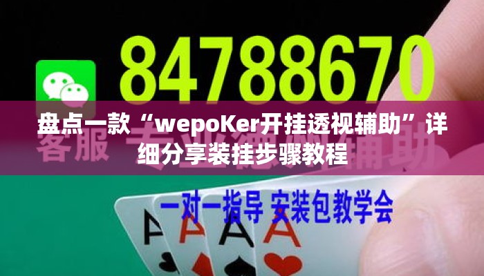 盘点一款“wepoKer开挂透视辅助	”详细分享装挂步骤教程