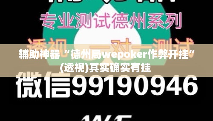 辅助神器“德州局wepoker作弊开挂”(透视)其实确实有挂 