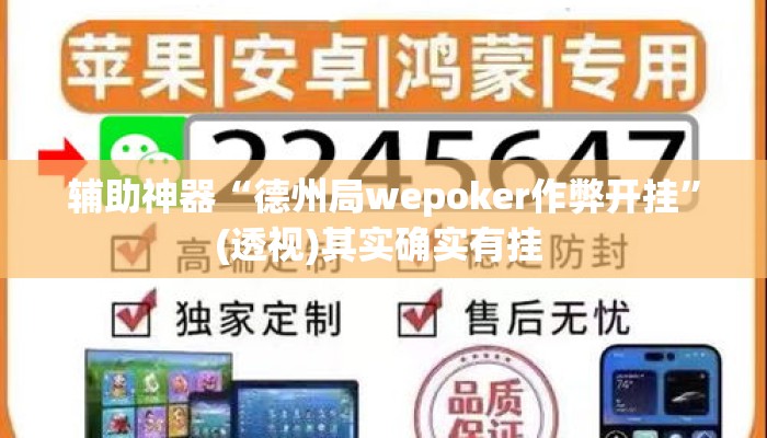 辅助神器“德州局wepoker作弊开挂	”(透视)其实确实有挂 
