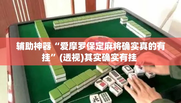 辅助神器“爱摩罗保定麻将确实真的有挂”(透视)其实确实有挂 