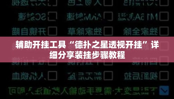 辅助开挂工具“德扑之星透视开挂”详细分享装挂步骤教程