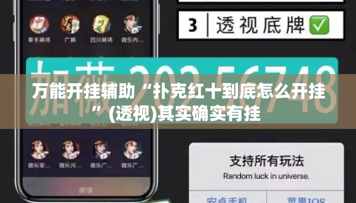 万能开挂辅助“扑克红十到底怎么开挂”(透视)其实确实有挂 
