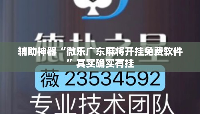辅助神器“微乐广东麻将开挂免费软件	”其实确实有挂