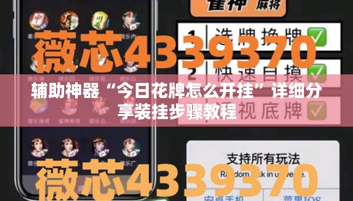 辅助神器“今日花牌怎么开挂”详细分享装挂步骤教程