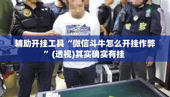 辅助开挂工具“微信斗牛怎么开挂作弊”(透视)其实确实有挂 