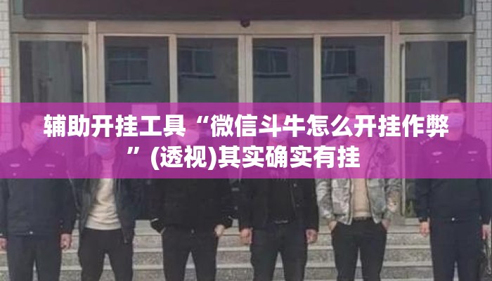 辅助开挂工具“微信斗牛怎么开挂作弊”(透视)其实确实有挂 