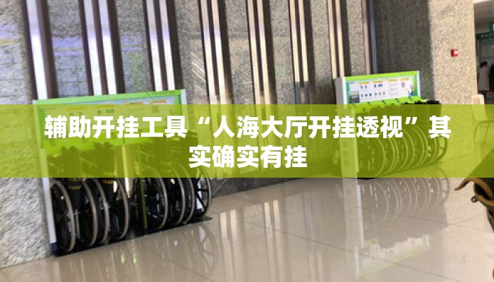 辅助开挂工具“人海大厅开挂透视	”其实确实有挂