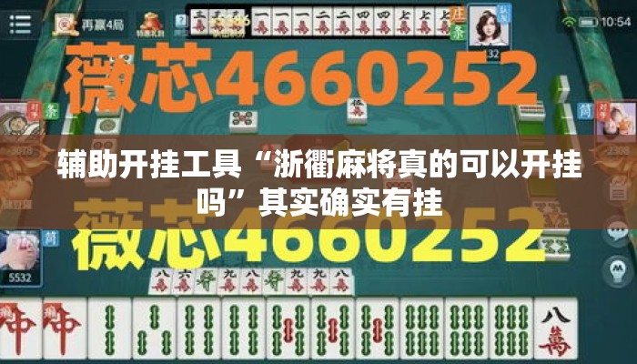 辅助开挂工具“浙衢麻将真的可以开挂吗”其实确实有挂