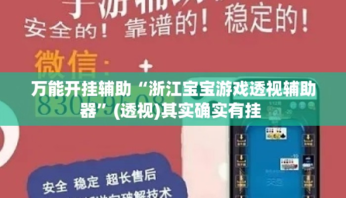 万能开挂辅助“浙江宝宝游戏透视辅助器”(透视)其实确实有挂 