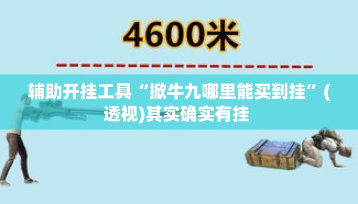 辅助开挂工具“掀牛九哪里能买到挂	”(透视)其实确实有挂 