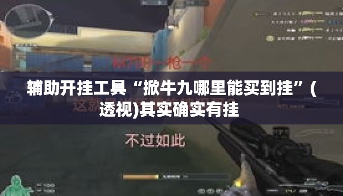 辅助开挂工具“掀牛九哪里能买到挂”(透视)其实确实有挂 