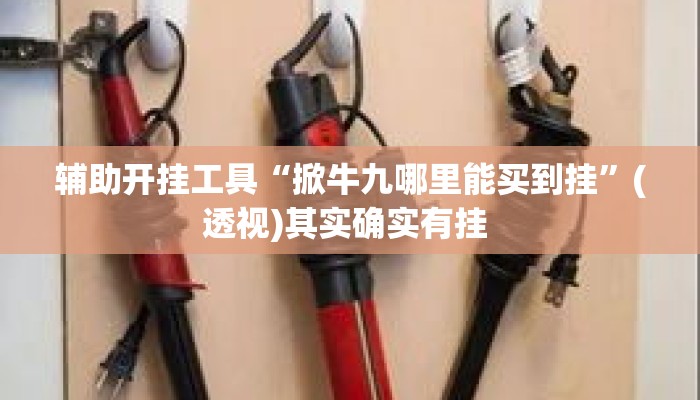 辅助开挂工具“掀牛九哪里能买到挂	”(透视)其实确实有挂 