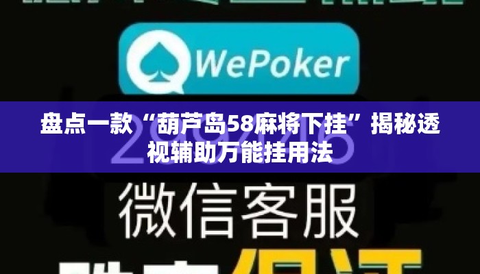 盘点一款“葫芦岛58麻将下挂	”揭秘透视辅助万能挂用法