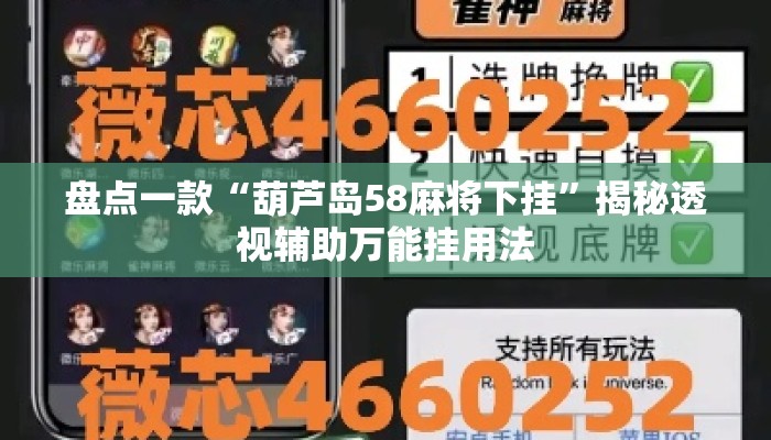 盘点一款“葫芦岛58麻将下挂	”揭秘透视辅助万能挂用法