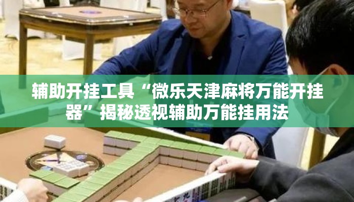 辅助开挂工具“微乐天津麻将万能开挂器	”揭秘透视辅助万能挂用法