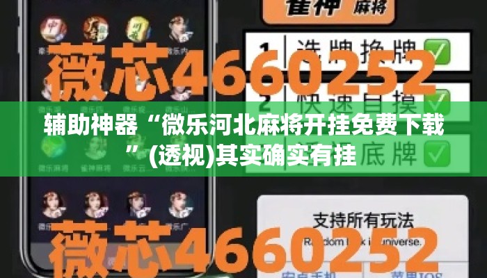 辅助神器“微乐河北麻将开挂免费下载”(透视)其实确实有挂 