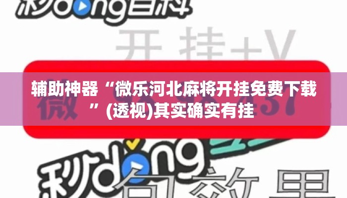 辅助神器“微乐河北麻将开挂免费下载”(透视)其实确实有挂 