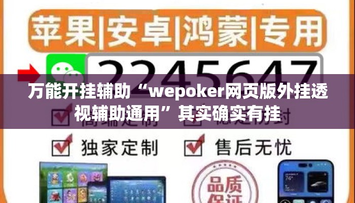 万能开挂辅助“wepoker网页版外挂透视辅助通用	”其实确实有挂