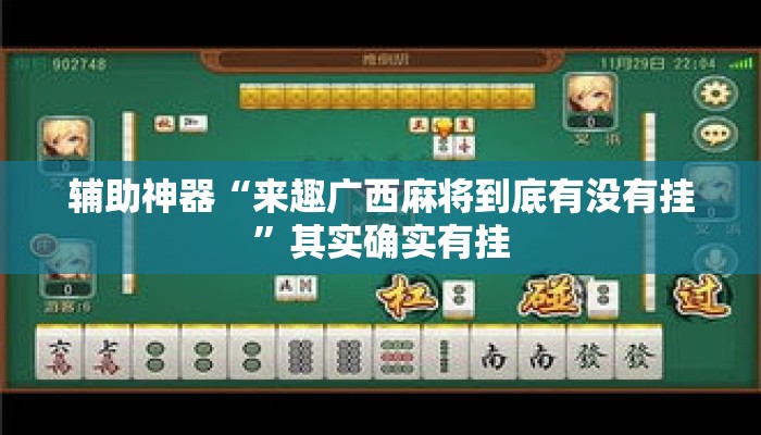 辅助神器“来趣广西麻将到底有没有挂”其实确实有挂