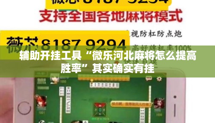 辅助开挂工具“旺旺南平麻将竟有透视挂吗	”揭秘透视辅助万能挂用法