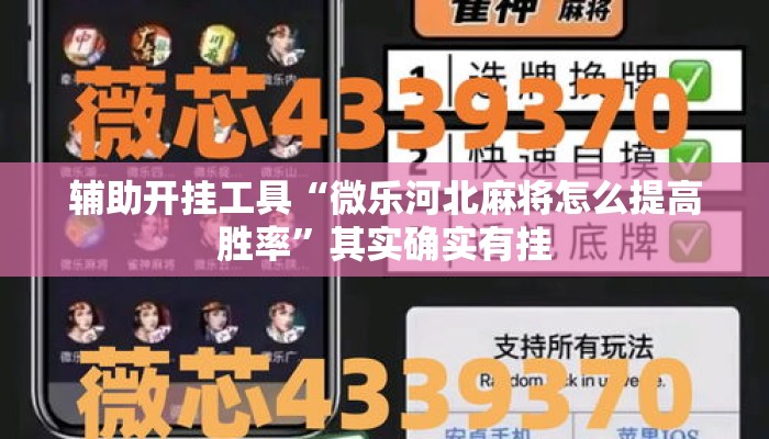 辅助开挂工具“微乐河北麻将怎么提高胜率	”其实确实有挂