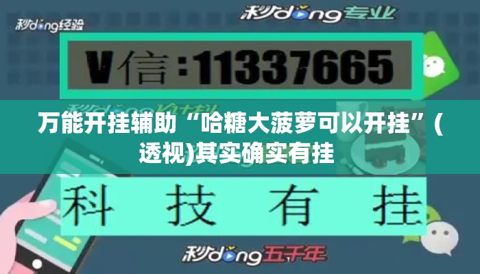 万能开挂辅助“哈糖大菠萝可以开挂”(透视)其实确实有挂 