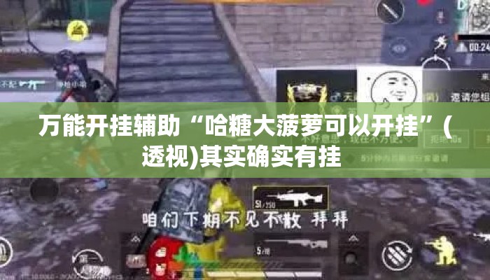 万能开挂辅助“哈糖大菠萝可以开挂”(透视)其实确实有挂 
