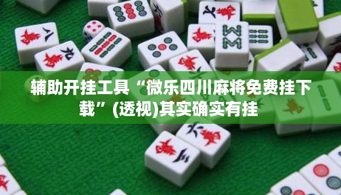 辅助开挂工具“微乐四川麻将免费挂下载	”(透视)其实确实有挂 