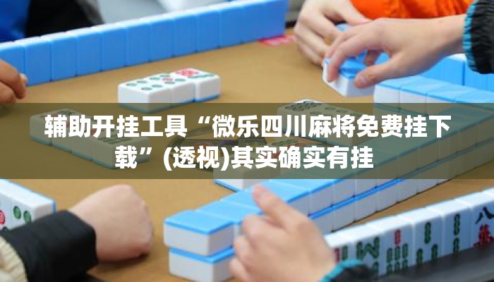 辅助开挂工具“微乐四川麻将免费挂下载”(透视)其实确实有挂 