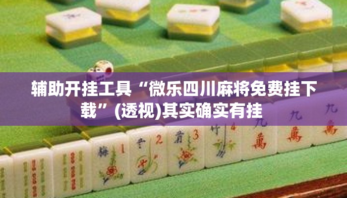 辅助开挂工具“微乐四川麻将免费挂下载”(透视)其实确实有挂 
