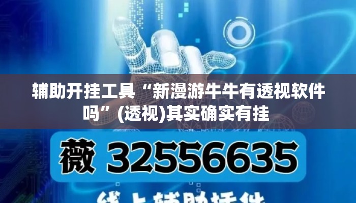 辅助开挂工具“新漫游牛牛有透视软件吗”(透视)其实确实有挂 