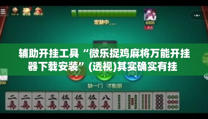 辅助开挂工具“微乐捉鸡麻将万能开挂器下载安装”(透视)其实确实有挂 