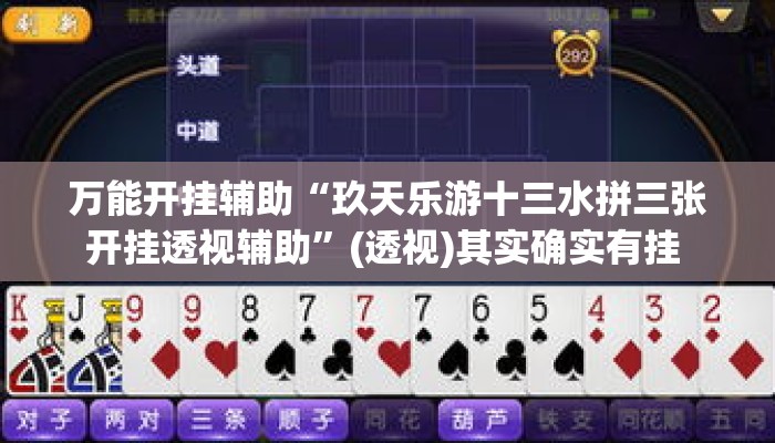 万能开挂辅助“玖天乐游十三水拼三张开挂透视辅助”(透视)其实确实有挂 