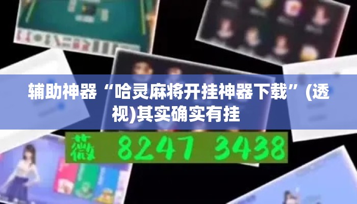 辅助神器“哈灵麻将开挂神器下载”(透视)其实确实有挂 