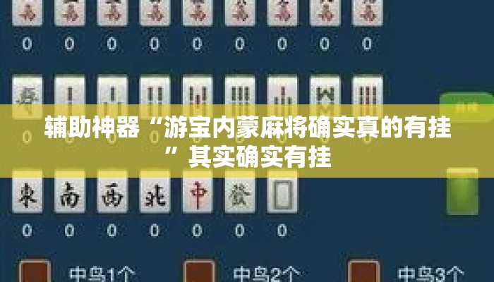 辅助神器“天天贵阳麻将可以开挂吗”详细分享装挂步骤教程