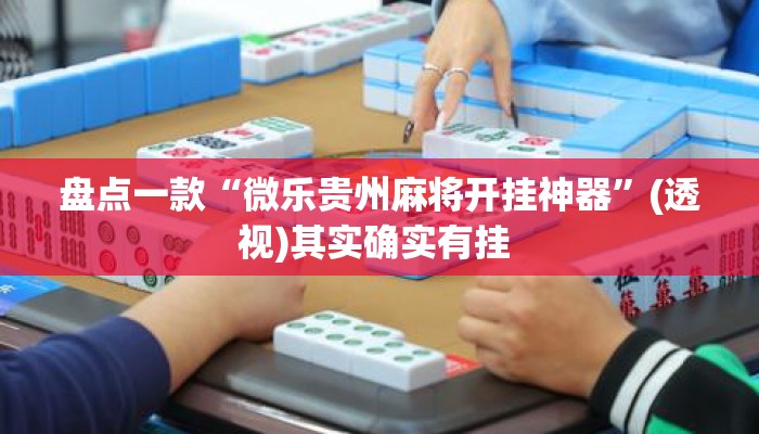 盘点一款“微乐贵州麻将开挂神器	”(透视)其实确实有挂 