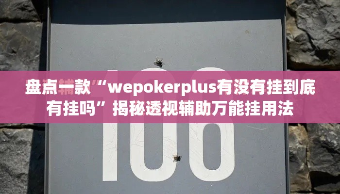 盘点一款“wepokerplus有没有挂到底有挂吗”揭秘透视辅助万能挂用法