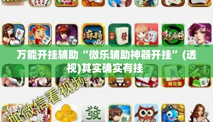 万能开挂辅助“微乐辅助神器开挂	”(透视)其实确实有挂 